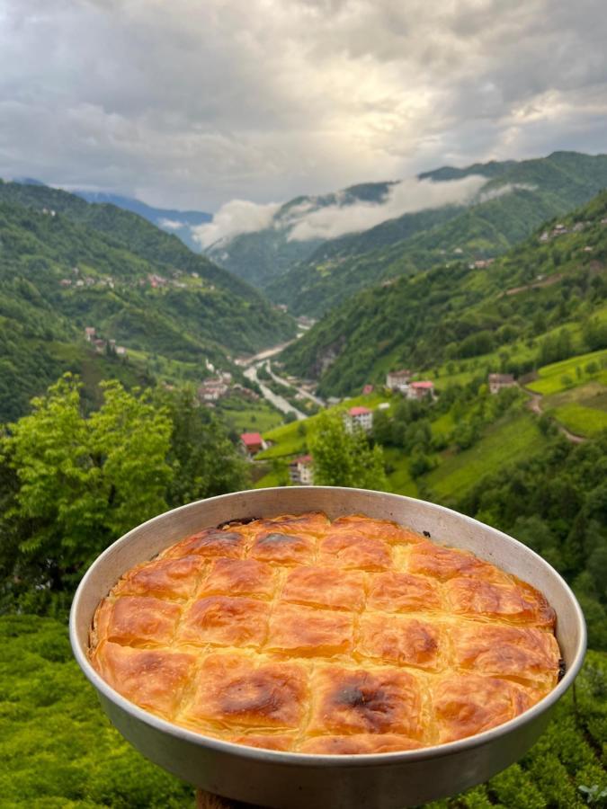 Zifona Bungalov Çamlıhemşin المظهر الخارجي الصورة
